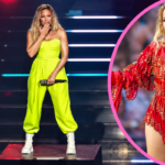 Helene Fischer Vermögen